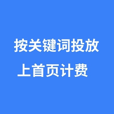 快速排-关键词排名